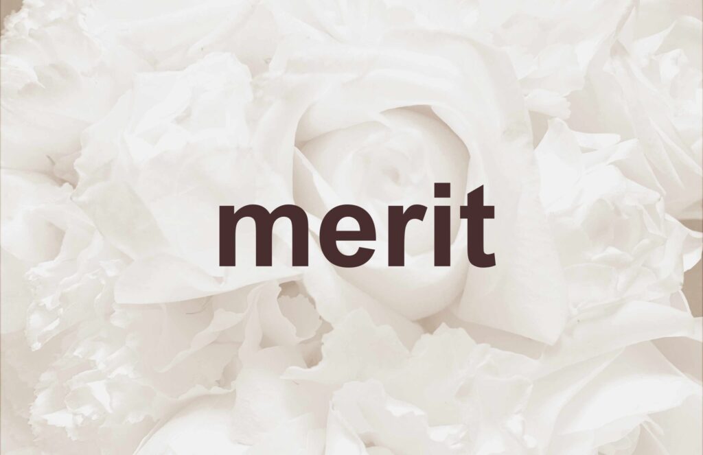 PARTIE　コンプリートセラムローション　化粧液　敏感肌